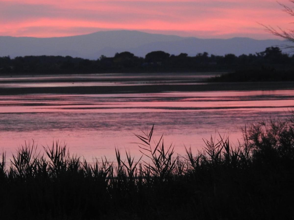 Hotel Les Palmiers En Camargue Сент-Мари-де-ла-Мер Экстерьер фото