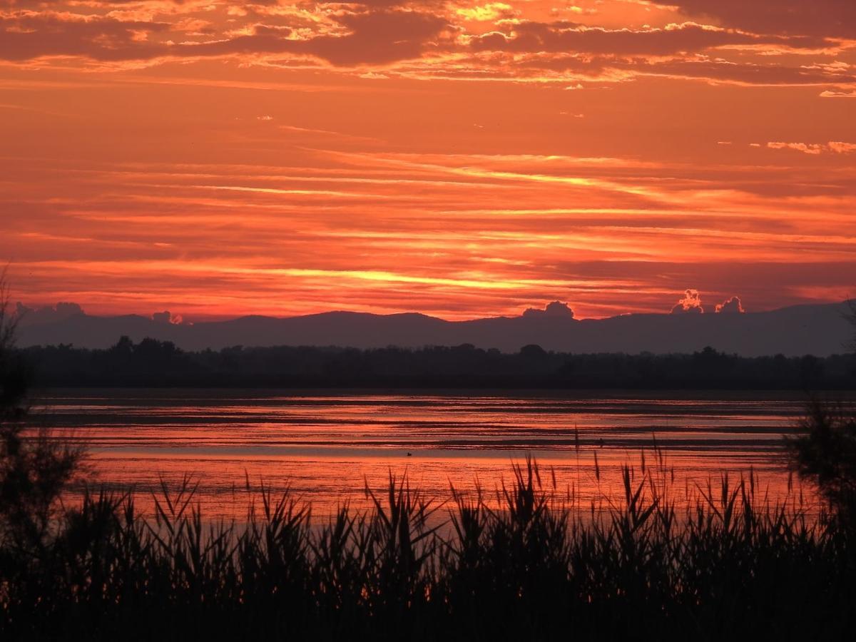 Hotel Les Palmiers En Camargue Сент-Мари-де-ла-Мер Экстерьер фото