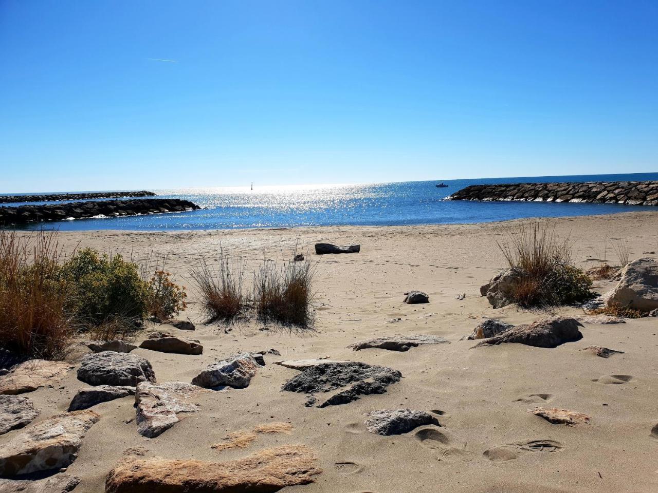 Hotel Les Palmiers En Camargue Сент-Мари-де-ла-Мер Экстерьер фото