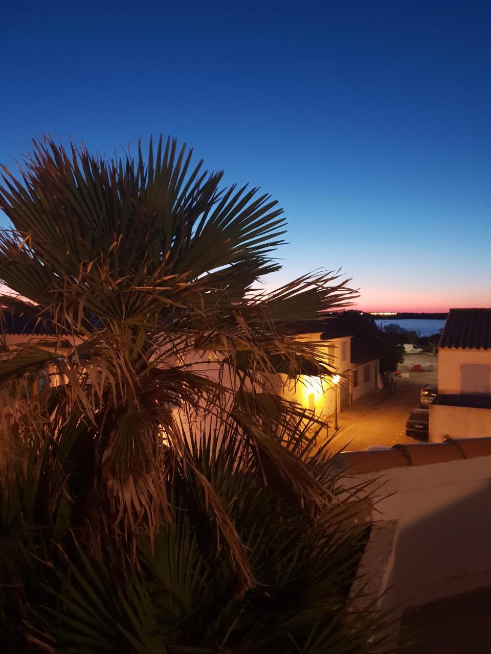 Hotel Les Palmiers En Camargue Сент-Мари-де-ла-Мер Экстерьер фото
